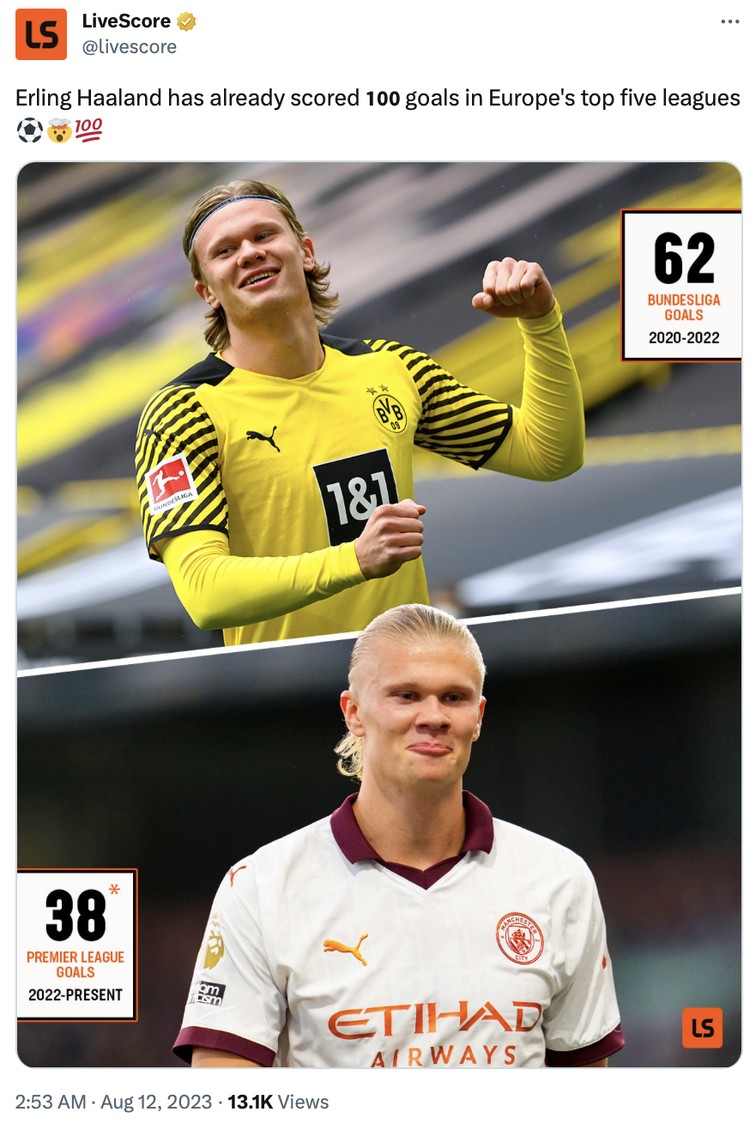 Meme Erling Haaland