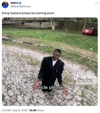 Meme Erling Haaland
