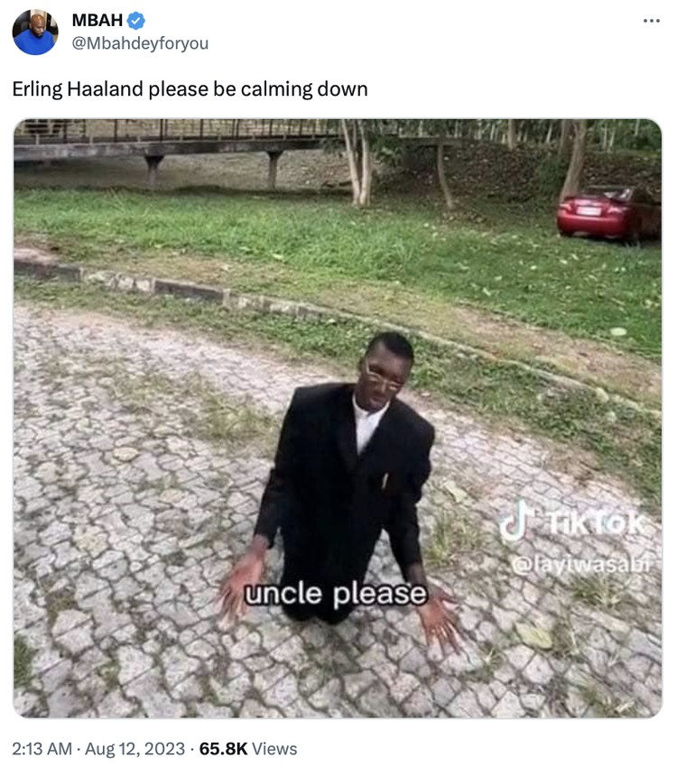 Meme Erling Haaland