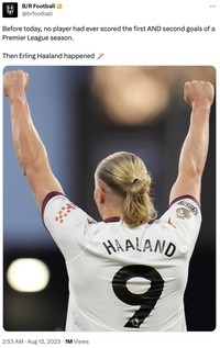 Meme Erling Haaland