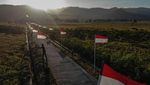 78 Bendera Merah Putih Berkibar di Dusun Pejaten Kulonprogo