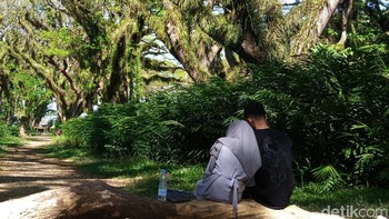 Begitu di-crop. Ini hasilnya. Foto: Adi Fida Rahman/detikINET