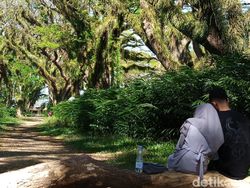 Hasil Uji Kamera 200 MP di Realme 11 Pro Plus, Bagus Atau Tidak?