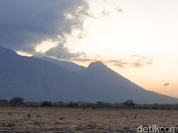 Hasil Uji Kamera 200 MP di Realme 11 Pro Plus, Bagus Atau Tidak?