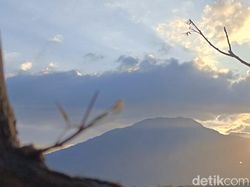 Hasil Uji Kamera 200 MP di Realme 11 Pro Plus, Bagus Atau Tidak?