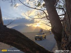 Hasil Uji Kamera 200 MP di Realme 11 Pro Plus, Bagus Atau Tidak?