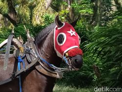 Hasil Uji Kamera 200 MP di Realme 11 Pro Plus, Bagus Atau Tidak?