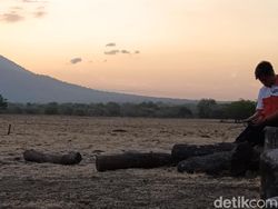 Hasil Uji Kamera 200 MP di Realme 11 Pro Plus, Bagus Atau Tidak?