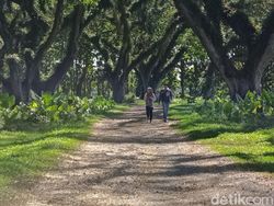 Hasil Uji Kamera 200 MP di Realme 11 Pro Plus, Bagus Atau Tidak?