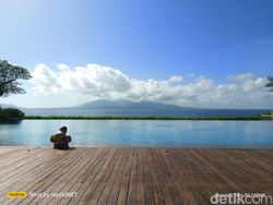 Hasil Uji Kamera 200 MP di Realme 11 Pro Plus, Bagus Atau Tidak?