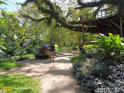 Hasil Uji Kamera 200 MP di Realme 11 Pro Plus, Bagus Atau Tidak?