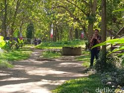 Hasil Uji Kamera 200 MP di Realme 11 Pro Plus, Bagus Atau Tidak?