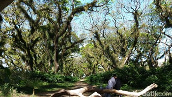 Foto awal 200 MP. Foto: Adi Fida Rahman/detikINET