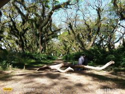 Hasil Uji Kamera 200 MP di Realme 11 Pro Plus, Bagus Atau Tidak?