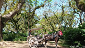 Ini hasil jepretan kamera 200 MP yang sudah dikompres agar dapat diupload di situs detik.  Foto: Adi Fida Rahman/detikINET