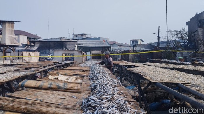 Warga kumpulkan ikan kering untuk dikonsumsi di lokasi kebakaran di Penjaringan, Jakut (Belia/detikcom).