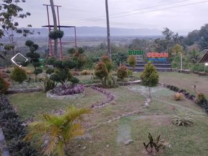 Wisata Bumi Cerah Bone Bolango, Keindahan Panorama Alam dari Atas Bukit