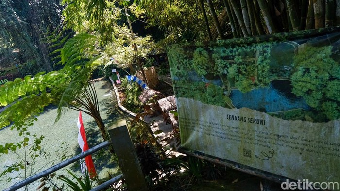 Berkunjung ke Sendang Seruni di Kaki Ijen, Airnya Bening Banget Wisata di Banyuwangi tidak melulu soal Kawah Ijen. Berada di kaki Gunung Ijen, silakan kunjungi Sendang Seruni yang sumber airnya sangat jernih.