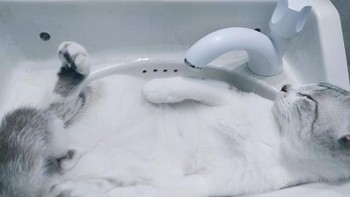 Tidur dulu deh di sini. (Foto: Brightside)