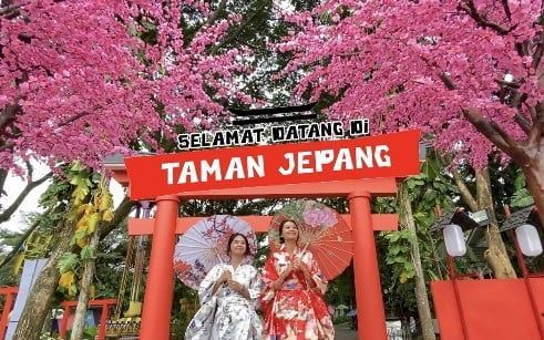 Jungle Land Adventure Theme Park