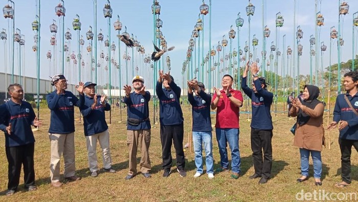 Lomba Derkuku Nasional di Blitar