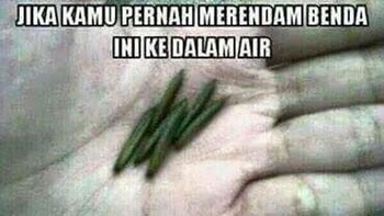 Peletekan, buah rumput yang meledak jika kena air dan jadi mainan seru anak-anak. Foto: Brightside