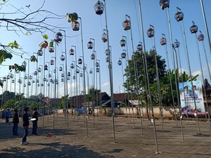 Dulu Diusir-usir, Kini Burung Tekukur Ditaksir-taksir