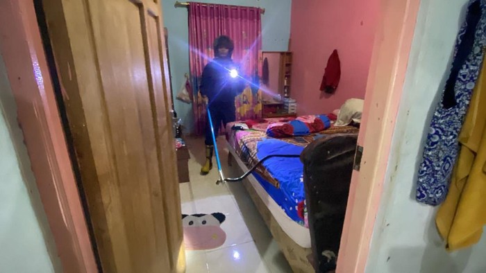 Petugas damkar mengevakuasi ular kobra yang masuk rumah warga di Barito Utara.