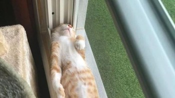 Lentur sekali badannya. (Foto: Brightside)