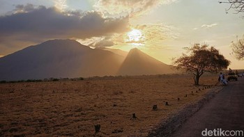 Suasana senja di Baluran jangan sampai terlewatkan. Foto: Adi Fida Rahman/detikINET