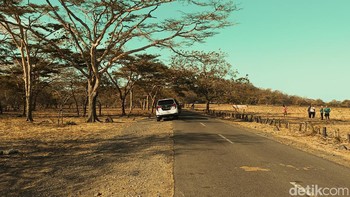 Menggunakan mode Street. Foto: Adi Fida Rahman/detikINET