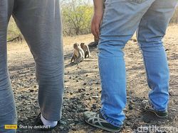 Memotret Spot Instagramable Banyuwangi Pakai Realme 11 Pro Plus