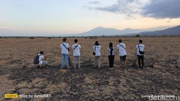 Atau bisa mengabadikan kawanan kerbau. Foto: Adi Fida Rahman/detikINET