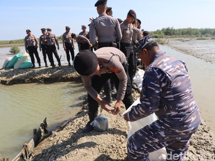 TNI-Polri gotong royong bangun tanggul penghalang banjir rob di Cirebon