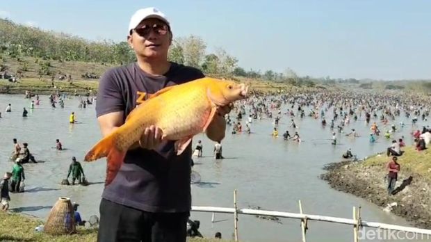 Warga di Kecamatan Padangan, Bojonegoro tumplek blek turun ke waduk Prangi. Mereka mengikuti tradisi Pemetan Ikan untuk memeriahkan HUT ke-78 RI.