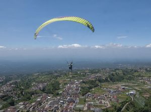 Pakai Parasut, Pilot Jet Akrobatik yang Jatuh di Italia Selamat