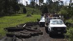 Aksi Warga Meksiko Pulihkan Hutan yang Gundul