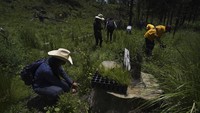 Garda Nasional Meksiko melindungi penduduk setempat saat mereka menanam bibit di area yang baru saja digunduli, di Topilejo, Mexico City, Minggu (13/8/2023).