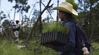 Warga di kawasan itu berusaha melindungi hutan yang tersisa dari penggundulan.