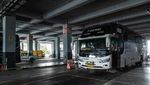 Begini Potret Bus Lintas Batas RI-Malaysia
