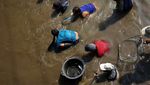 Serunya Berburu Ikan Mabuk di Tulungagung