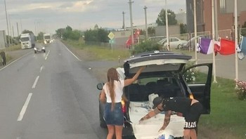 Cat tumpah dalam mobil... Foto: Boredpanda