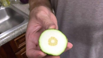 Ketika isi jeruk nipis ini lebih kecl dari kulitnya. Foto: Boredpanda