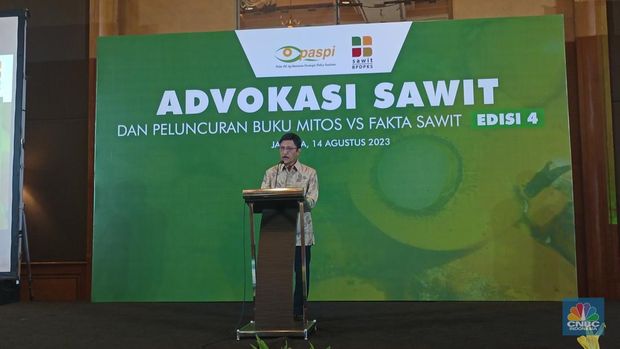 Direktur Utama Badan Pengelola Dana Perkebunan Kelapa Sawit (BPDPKS) Eddy Abdurrachman (CNBC Indonesia/Martyasari Rizky)