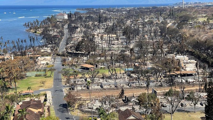 The shells of burned houses and buildings are left after wildfires driven by high winds burned across most of the town in Lahaina, Maui, Hawaii, U.S. August 11, 2023. Hawaii Department of Land and Natural Resources/Handout via REUTERS  THIS IMAGE HAS BEEN SUPPLIED BY A THIRD PARTY.