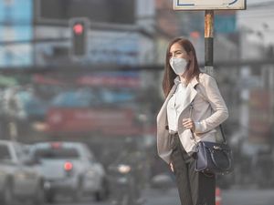 Kurang Semangat? Mungkin Kamu Terpapar Banyak Polusi