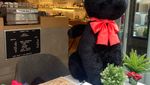Keren! 10 Kafe Kece yang Terinspirasi dari Dunia Ghibli