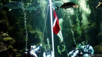 MerdekaRia merupakan tema yang diangkat pada tahun ini, karena dalam peringatan suasana kemerdekaan akan banyak keceriaan yang bisa diikuti oleh semua pengunjung Ancol. Sea world Ancol akan kembali mengadakan pengibaran Bendera Merah Putih di dalam air.