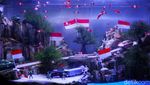 Kemeriahan Sea World Ancol Jelang HUT RI