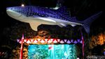 Kemeriahan Sea World Ancol Jelang HUT RI